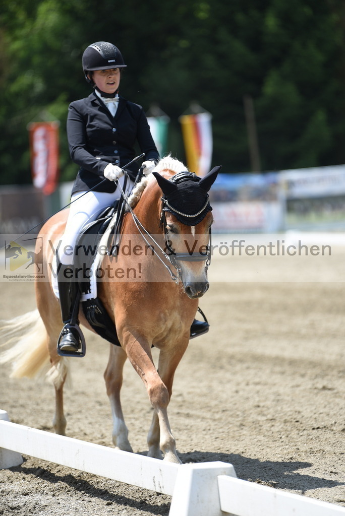 DSC_0372 | equestrian-live-com
