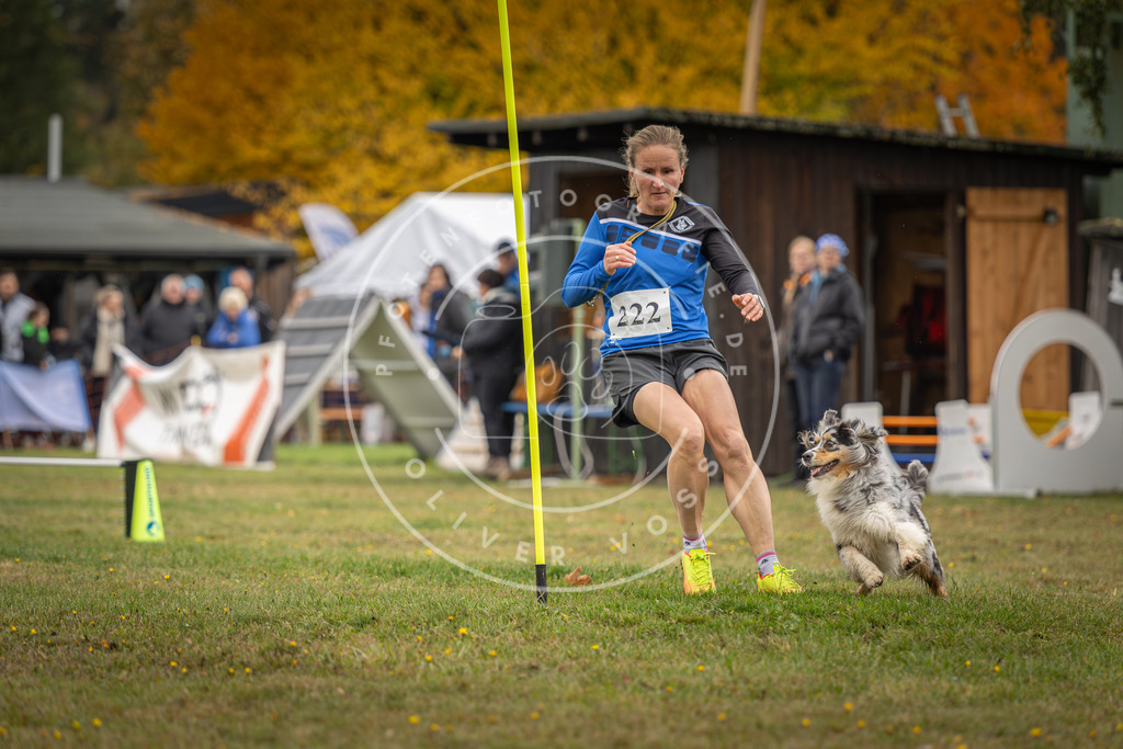 Pfotenfotografie_DV3A3095 | Hundefotografie, Tierfotograf, Pfotenfotografie, Fotoshooting Hund, Hunde Portrait, Hundesport, Hundeportraits, Heideshooting, Hunde, Sportfotograf, Hundefotograf, Turnierhundsport, THS,  - Realisiert mit Pictrs.com