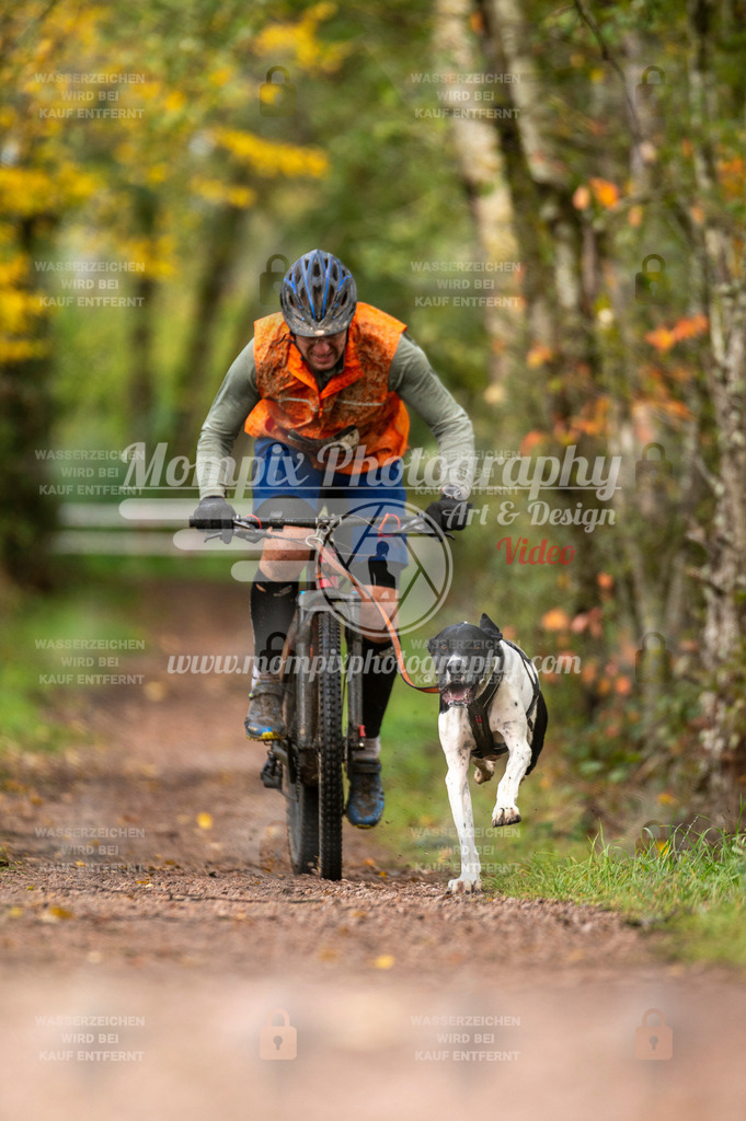TSB_2023_E4_Bike-17 | PayLife