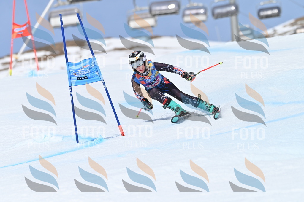 BGV_2924 | holidayphoto