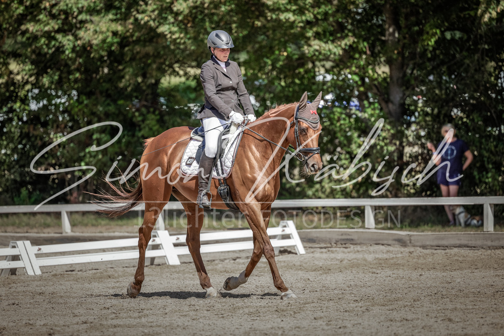 20250906-_3LI4785 | Tierfotografie Pferde, Hunde, Katzen, Haustiere.
Turnierfotografie Reitturniere, Reiten, Springreiten, Dressur in Hanau, dem Main-Kinzig-Kreis und dem Rhein-Main- Gebiet um Frankfurt