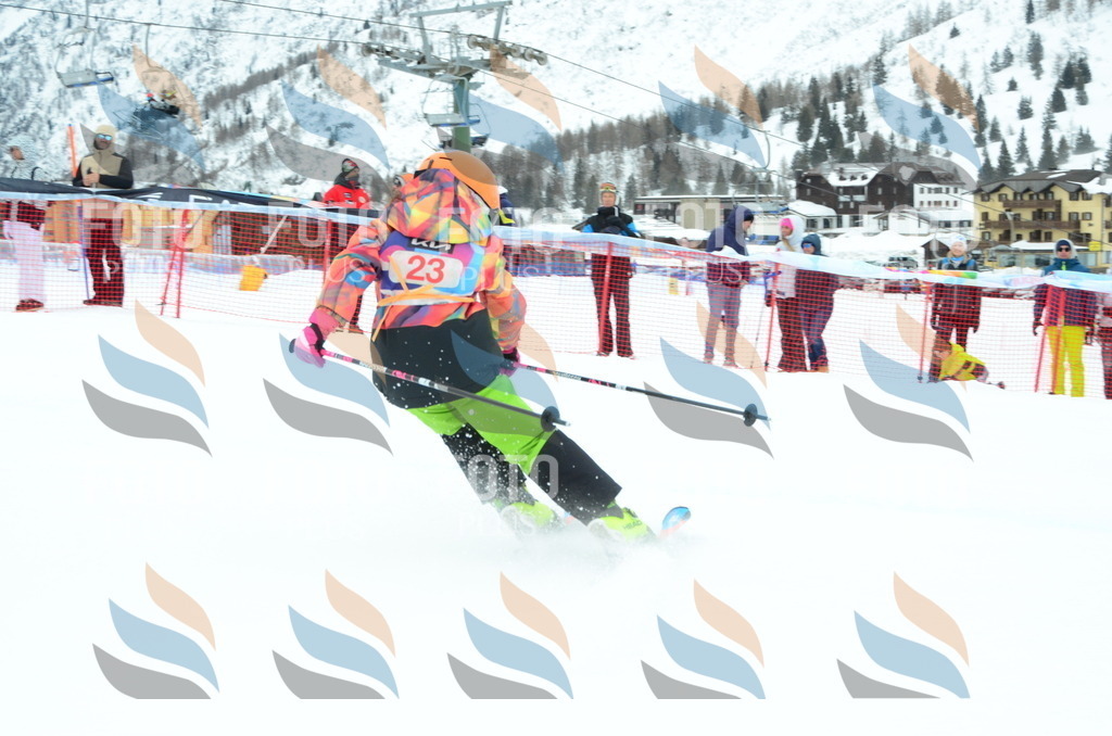 DSC_0793 | holidayphoto