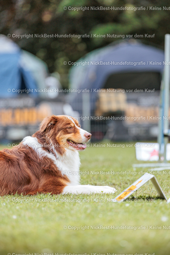 RO-Blumenthal-2026-Nickbest-Hundefotografie-2297 | Dein Hund! Dein Moment! Deine Erinnerungen! Hundefotografie in Bremen Blumenthal. Ich fange die besonderen Momente deines Vierbeiners ein – ob Indoor mit Blitzanlage oder in der freien Natur. Sicher dir dein Moment und dein Termin für eure Erinnerungen.