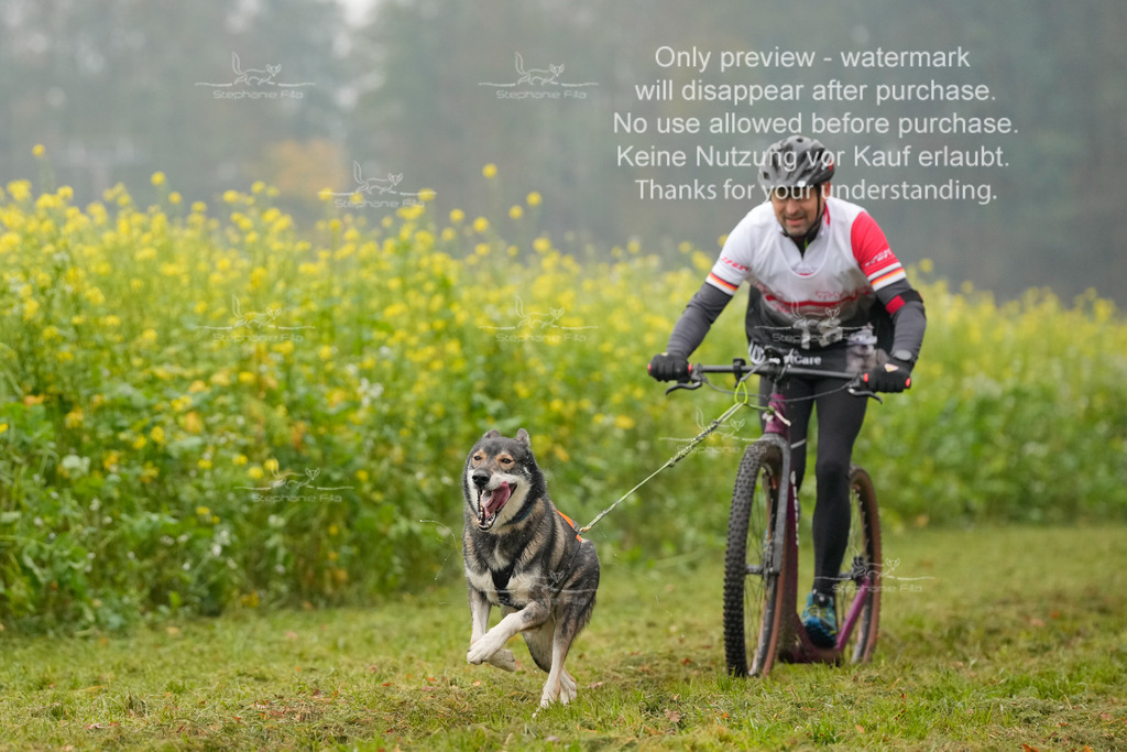 Visbeck_Sa_Scooter_Hc-20 | stephaniefillaphotographie - Realisiert mit Pictrs.com