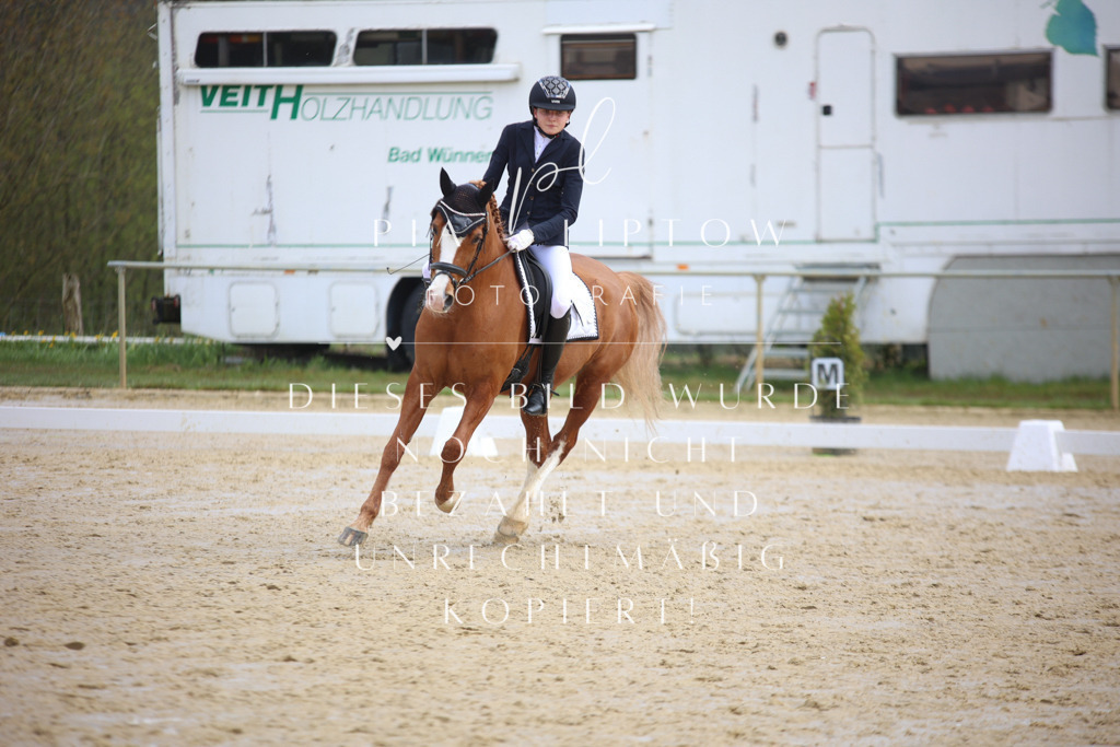 IMGT4101 | pl-fotografie