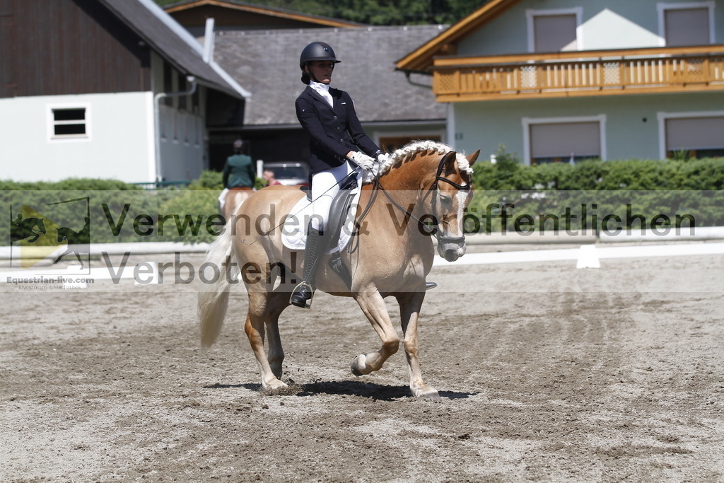 _MG_3977 | equestrian-live-com
