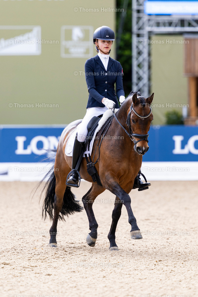 TH_557-LEVIEN Sophie (GER)_ Carlo Carlucci_37549 | Deutsches Spring- und Dressur-Derby 2026 am 14.05.26 in Hamburg, 557LEVIEN Sophie (GER), Carlo Carlucci