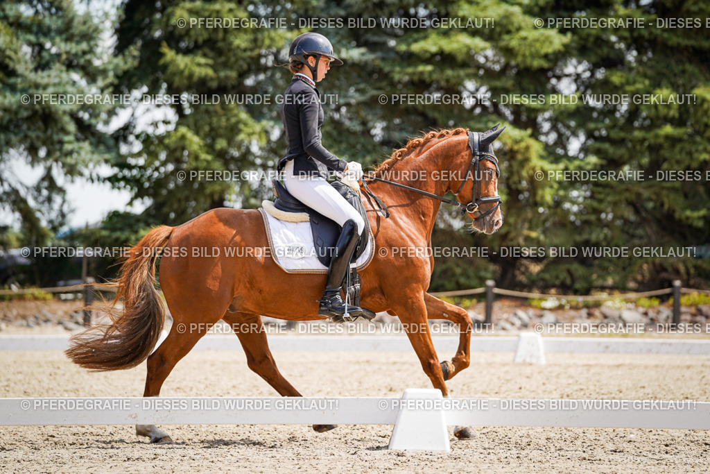 DSC00780 | Pferdegrafie