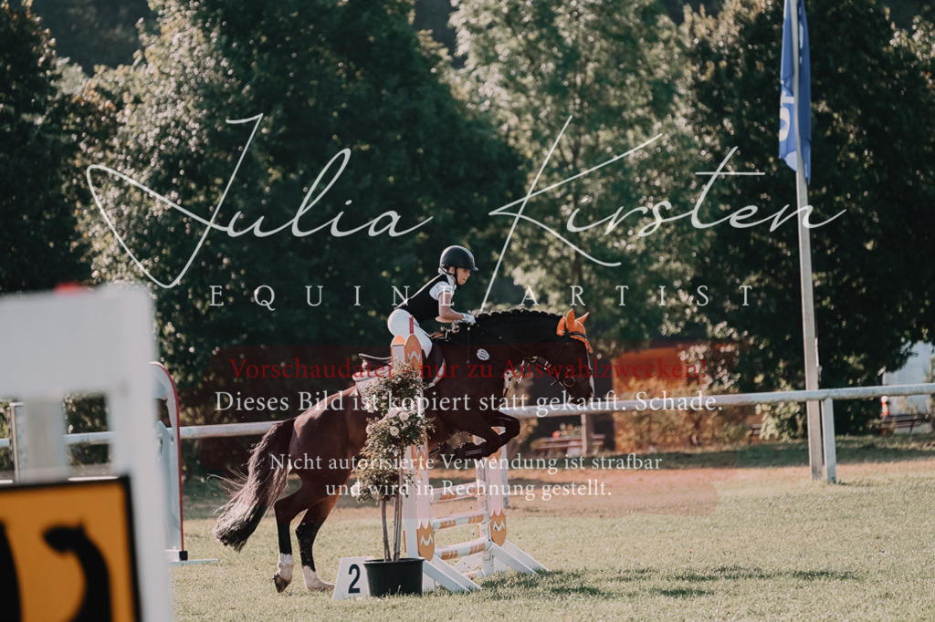 DSC_4462 | Pferde- und Turnierfotografie in Westsachsen. Pferdeportraits, Auftragszeichnungen und intuitive Kunst.