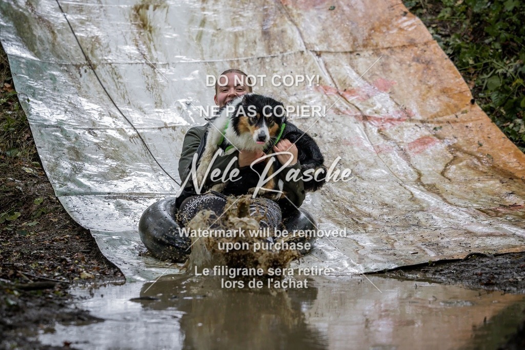 nelerasche_Hunsrück_Sa1300-1400_441-final | nelerasche