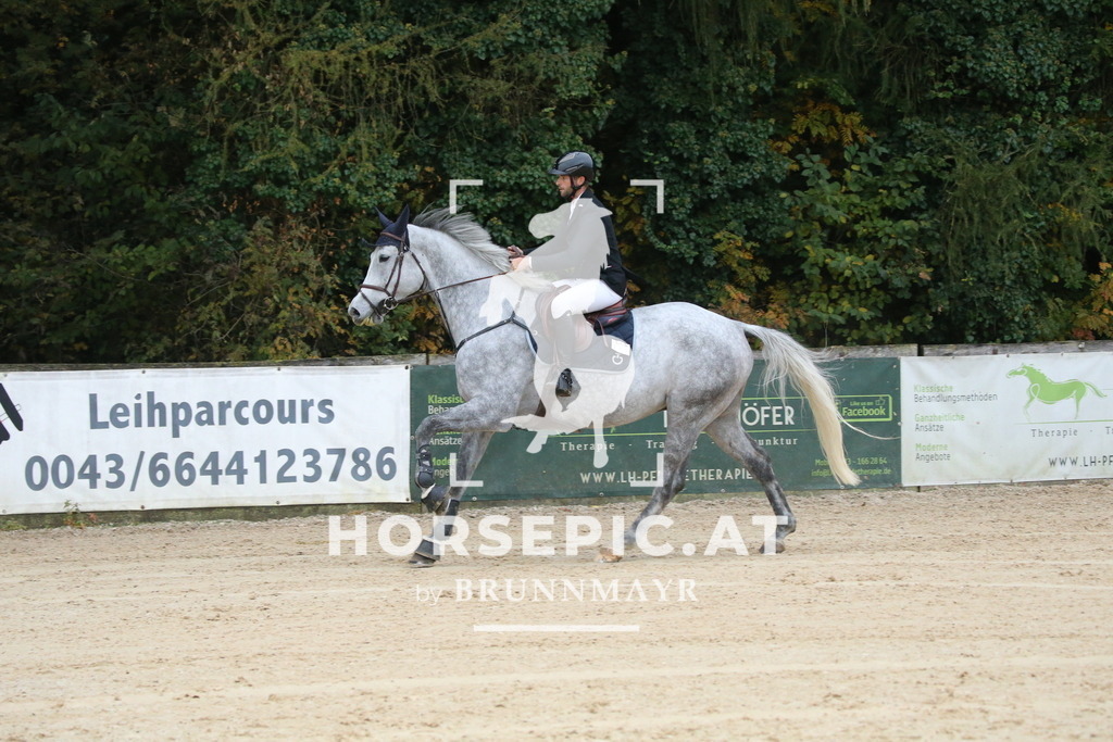 DL2Q3864 | Willkommen bei Brunnmayr - Design & Fotografie – Ihrem Spezialisten für Reitturniere und Pferdeveranstaltungen in Oberösterreich, Salzburg und Bayern! Seit über 17 Jahren sind wir leidenschaftlich dabei.