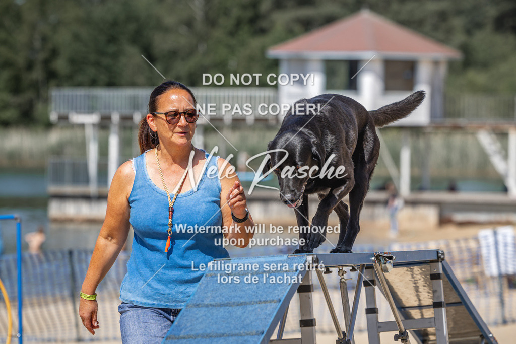 nelerasche_saBeachility_562 | nelerasche