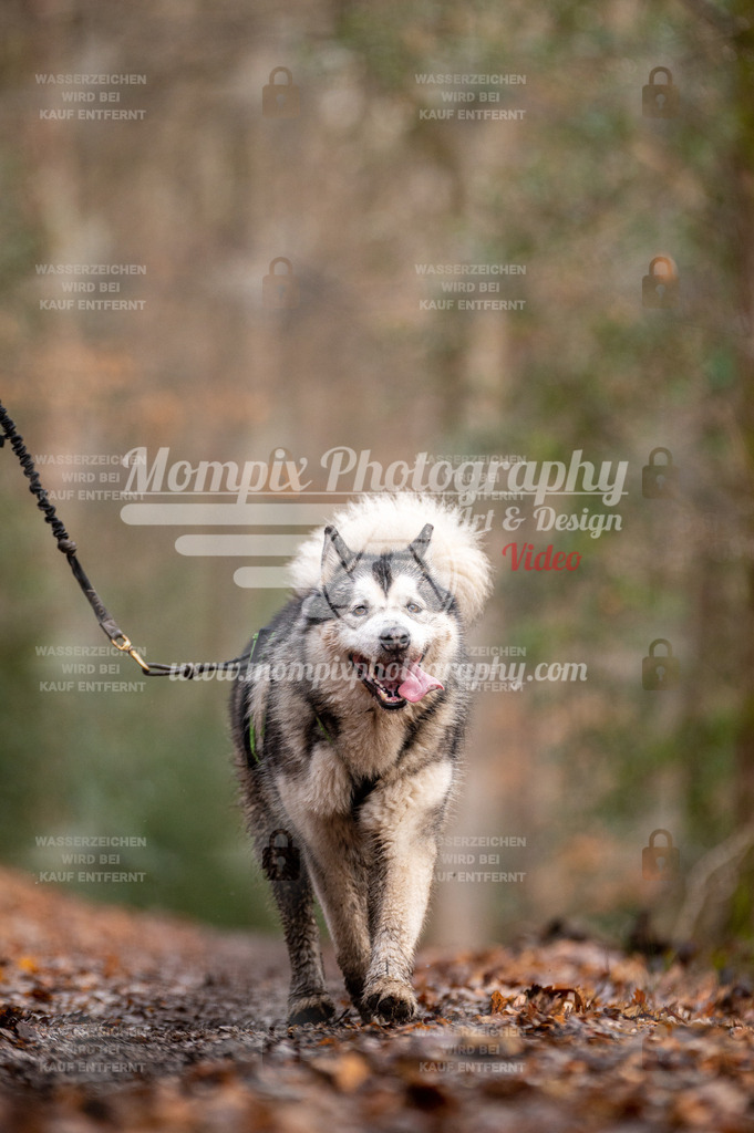 SPA_2023_DIM_CCL-159 | PayLife