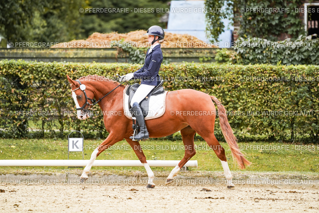 DSC08836 | Pferdegrafie