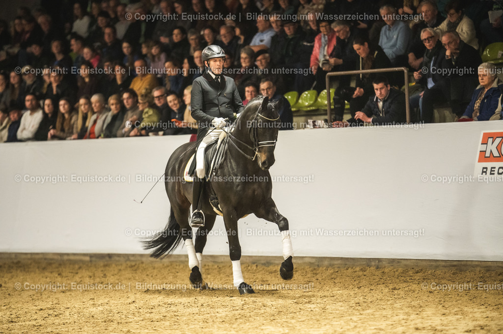 20240302_Hengstvorstellung_Marbach_TOMsPiC_1496-2 | equistock