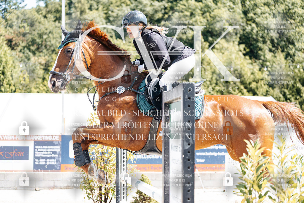 CK909370 | Turnierfotografie Pferdefotografie Trier Rheinland-Pfalz Pferdesport Reitsport Tierfotografie Sportfotografie Pferdevideo Pferdevideografie Equestrianvideography equestrianphotography  - Realisiert mit Pictrs.com