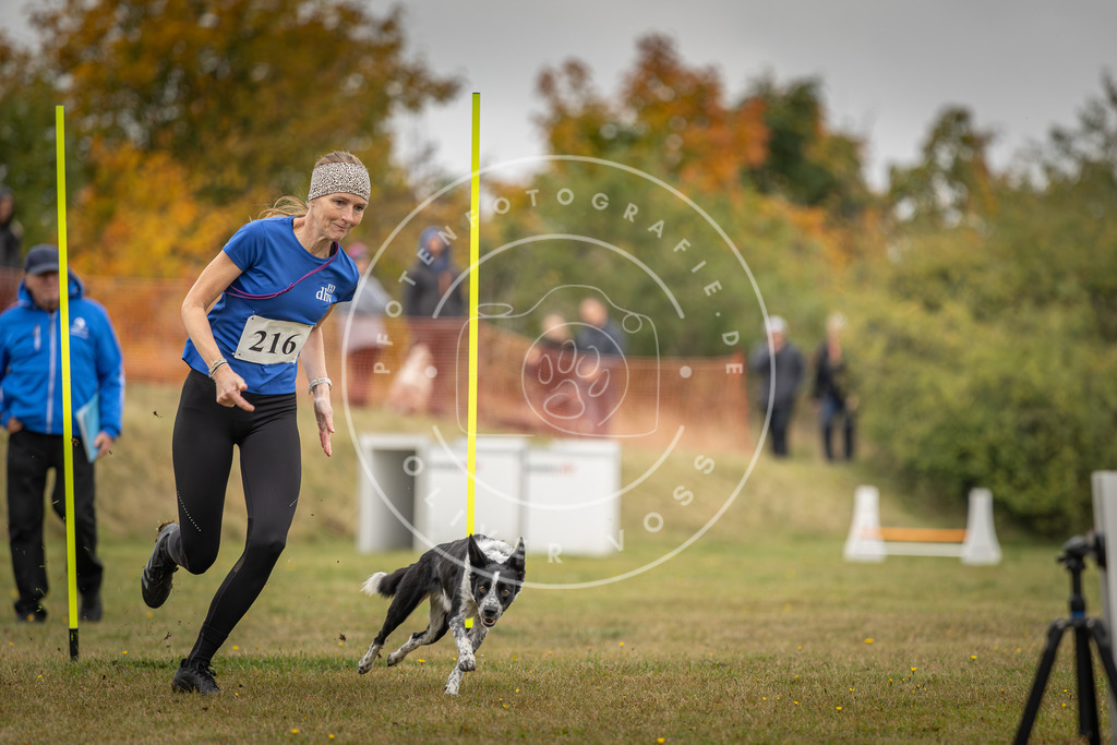 Pfotenfotografie_DV3A3529 | Hundefotografie, Tierfotograf, Pfotenfotografie, Fotoshooting Hund, Hunde Portrait, Hundesport, Hundeportraits, Heideshooting, Hunde, Sportfotograf, Hundefotograf, Turnierhundsport, THS,  - Realisiert mit Pictrs.com