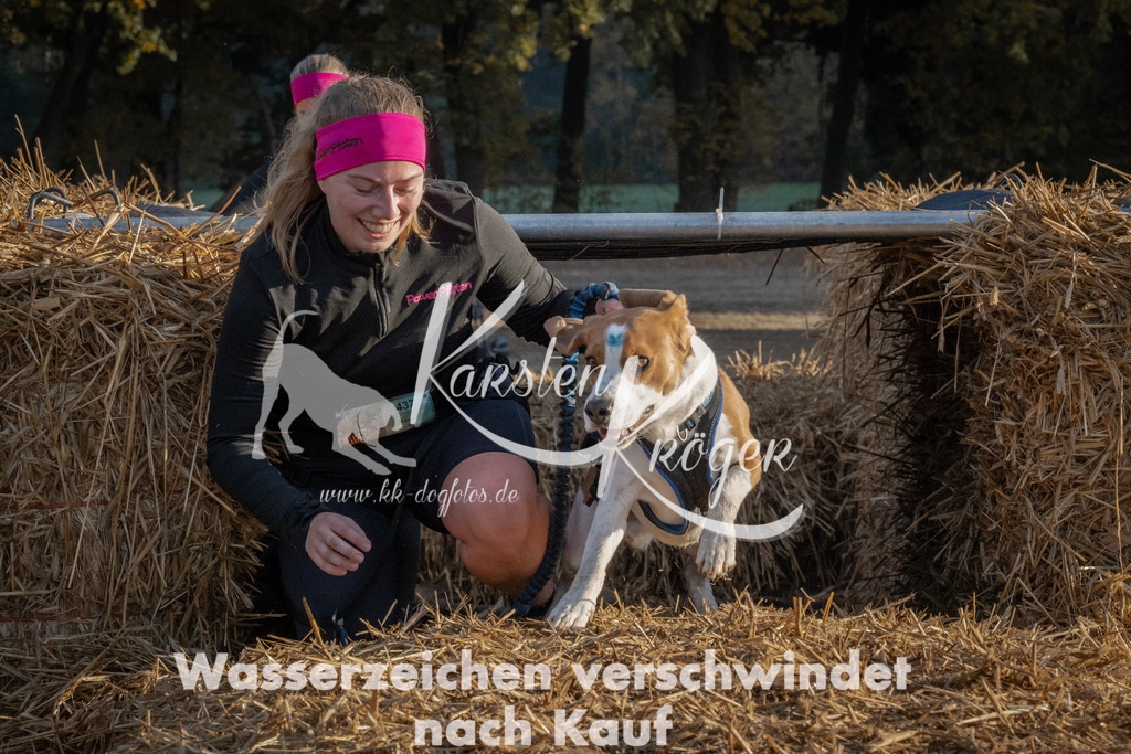 0944_ZZ94287 | kk-dogfotos