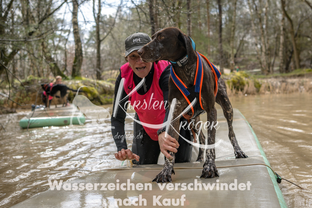 1311_ZZ94684 | kk-dogfotos