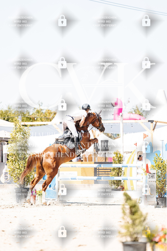 CK900089 | Turnierfotografie Pferdefotografie Trier Rheinland-Pfalz Pferdesport Reitsport Tierfotografie Sportfotografie Pferdevideo Pferdevideografie Equestrianvideography equestrianphotography  - Realisiert mit Pictrs.com