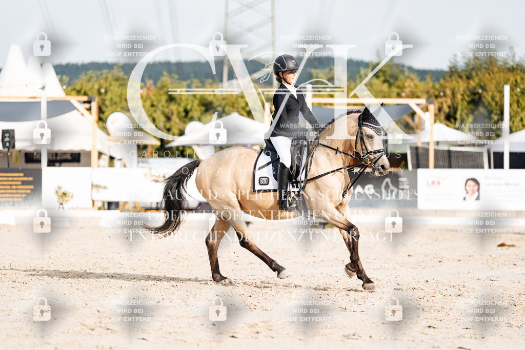 CK904252 | Turnierfotografie Pferdefotografie Trier Rheinland-Pfalz Pferdesport Reitsport Tierfotografie Sportfotografie Pferdevideo Pferdevideografie Equestrianvideography equestrianphotography  - Realisiert mit Pictrs.com