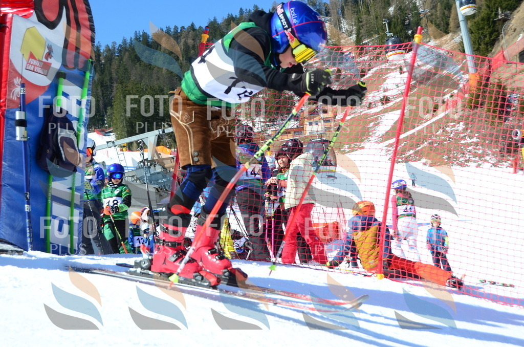 C5849 | holidayphoto