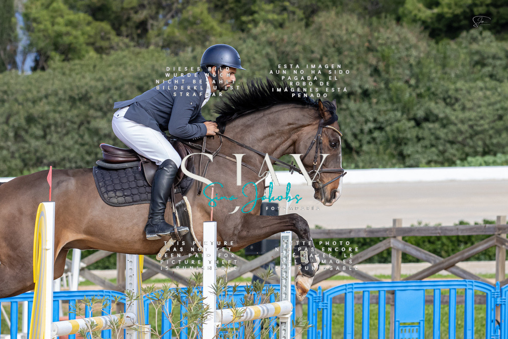 IMG_3707 | s-jay-photography - Realisiert mit Pictrs.com