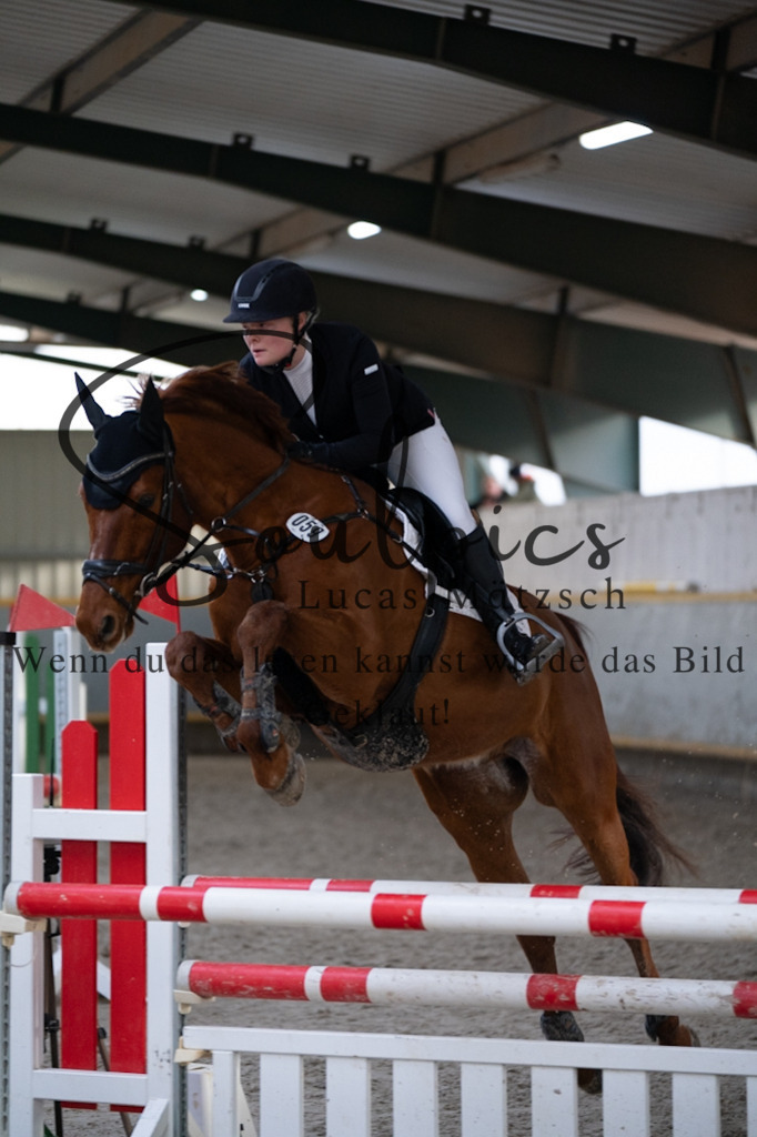 A7V04474 | Pferdefotograf