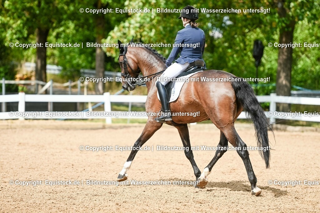 20230716_01_Dressurprüfung Kl.M_0174 | equistock