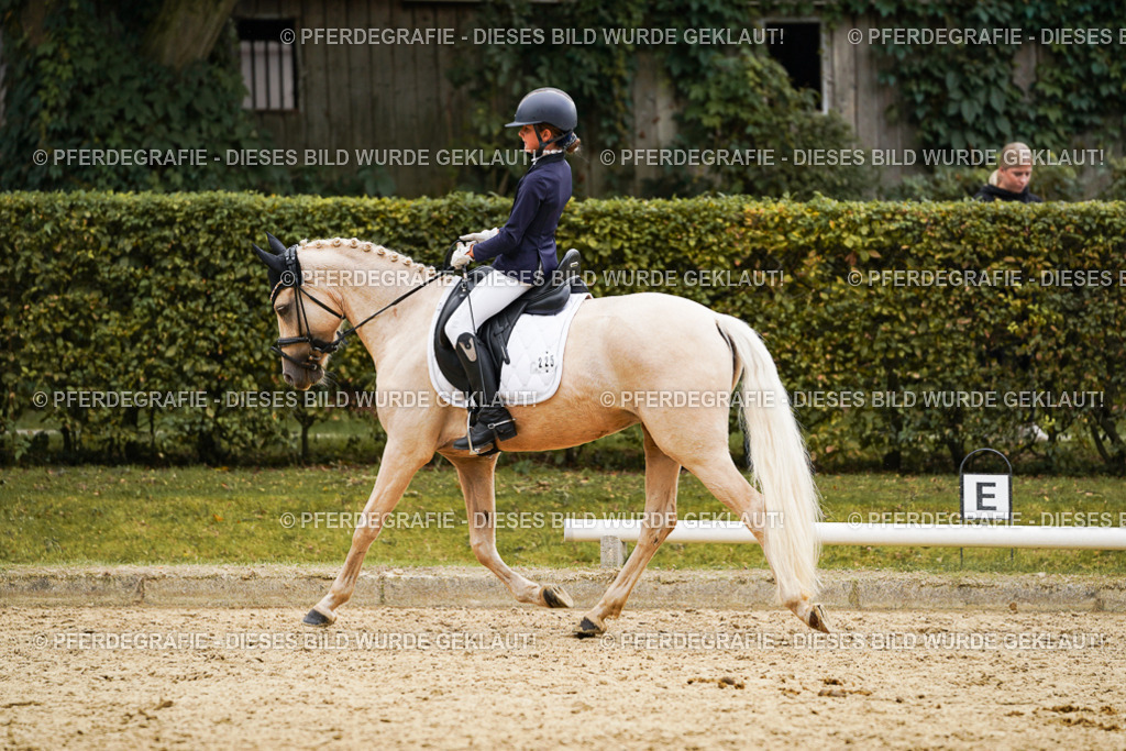 DSC00519 | Pferdegrafie