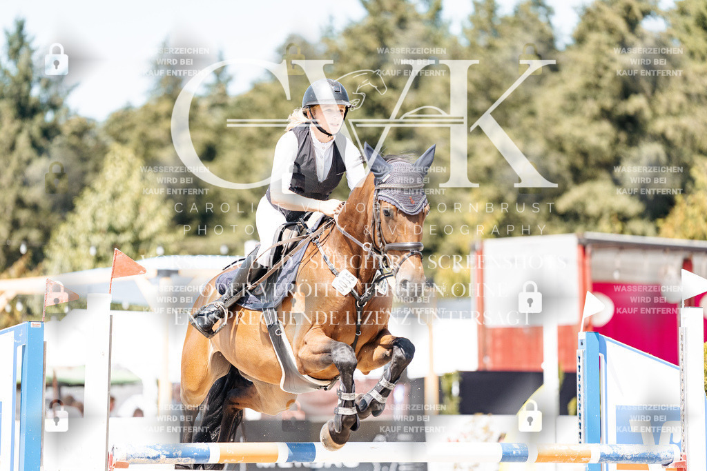 CK900819 | Turnierfotografie Pferdefotografie Trier Rheinland-Pfalz Pferdesport Reitsport Tierfotografie Sportfotografie Pferdevideo Pferdevideografie Equestrianvideography equestrianphotography  - Realisiert mit Pictrs.com