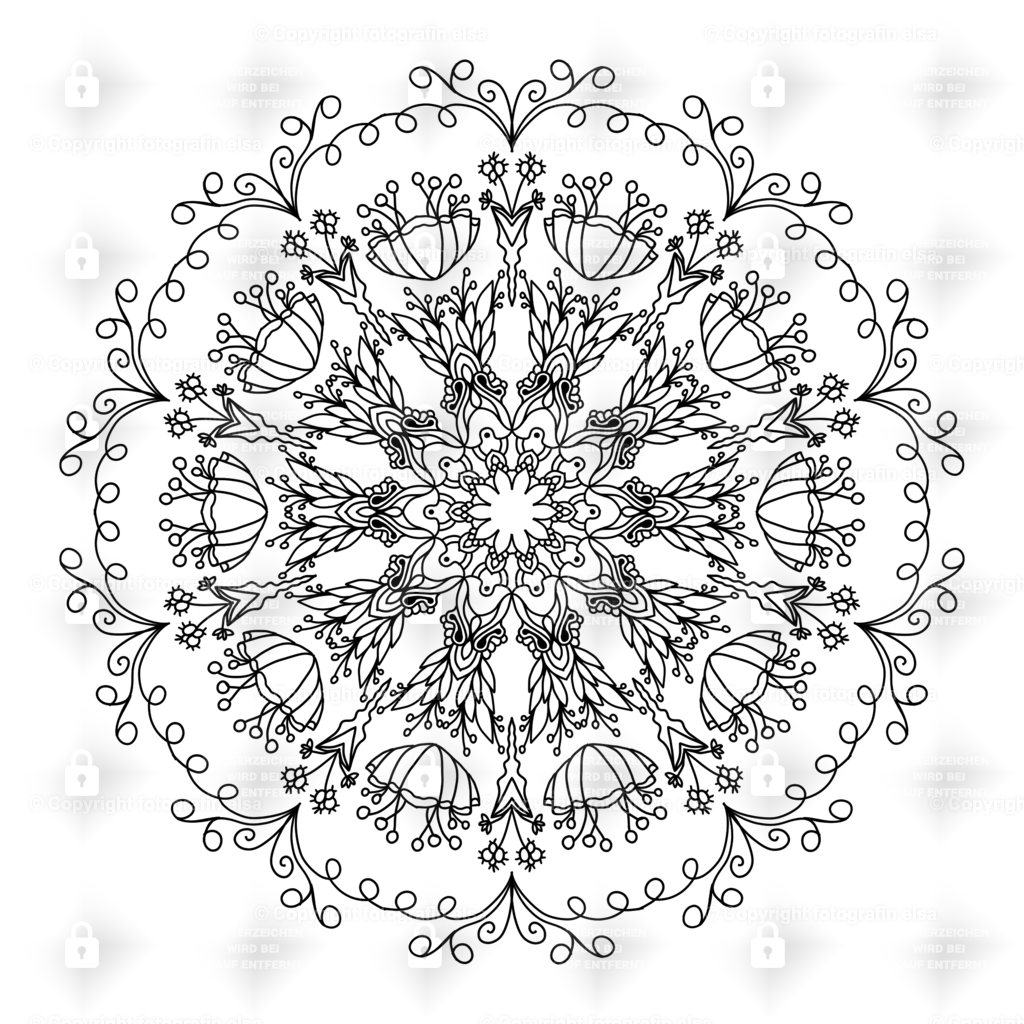 71Seite | fotografinelsa