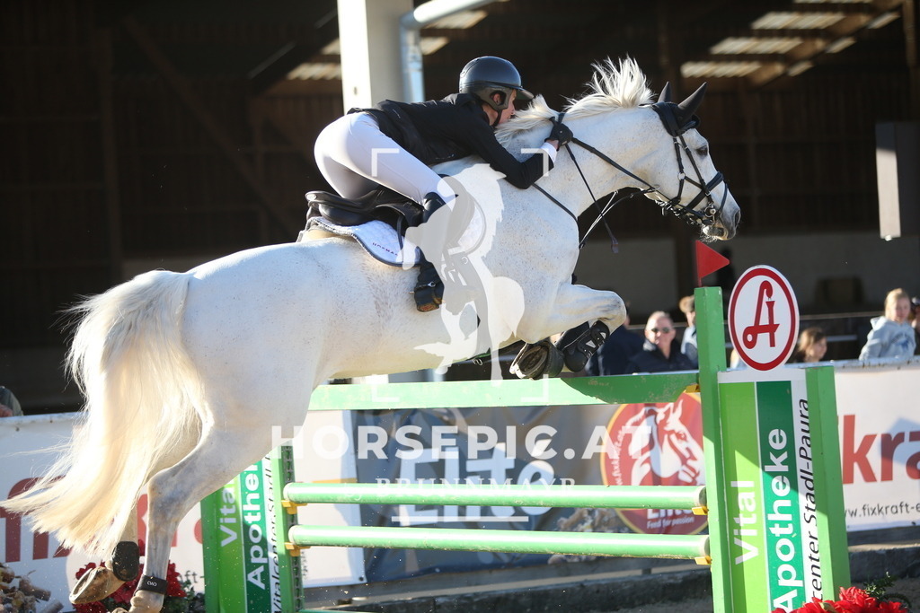 PP016012 | Willkommen bei Brunnmayr - Design & Fotografie – Ihrem Spezialisten für Reitturniere und Pferdeveranstaltungen in Oberösterreich, Salzburg und Bayern! Seit über 17 Jahren sind wir leidenschaftlich dabei.