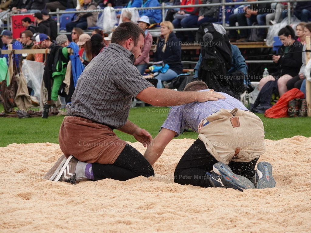 DSC06303 | Schwingen - Realisiert mit Pictrs.com