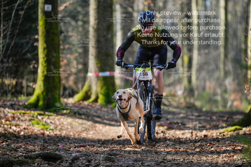 Bike_So-4 | stephaniefillaphotographie - Realisiert mit Pictrs.com