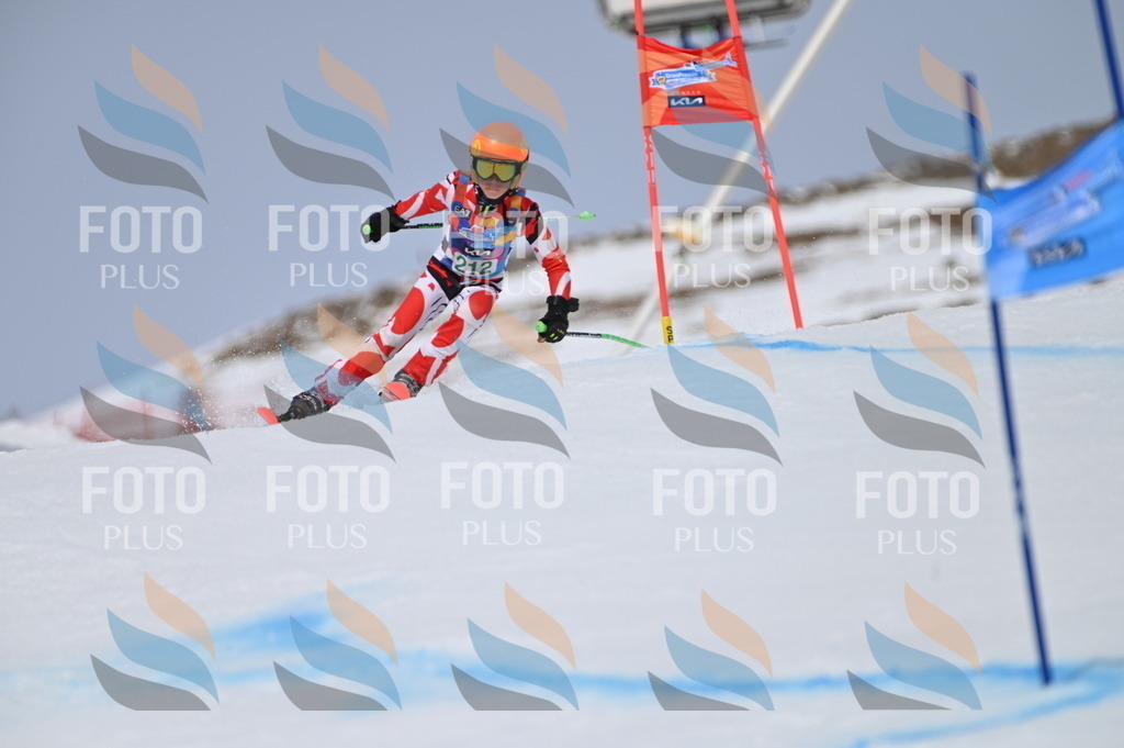 BGV_4096 | holidayphoto