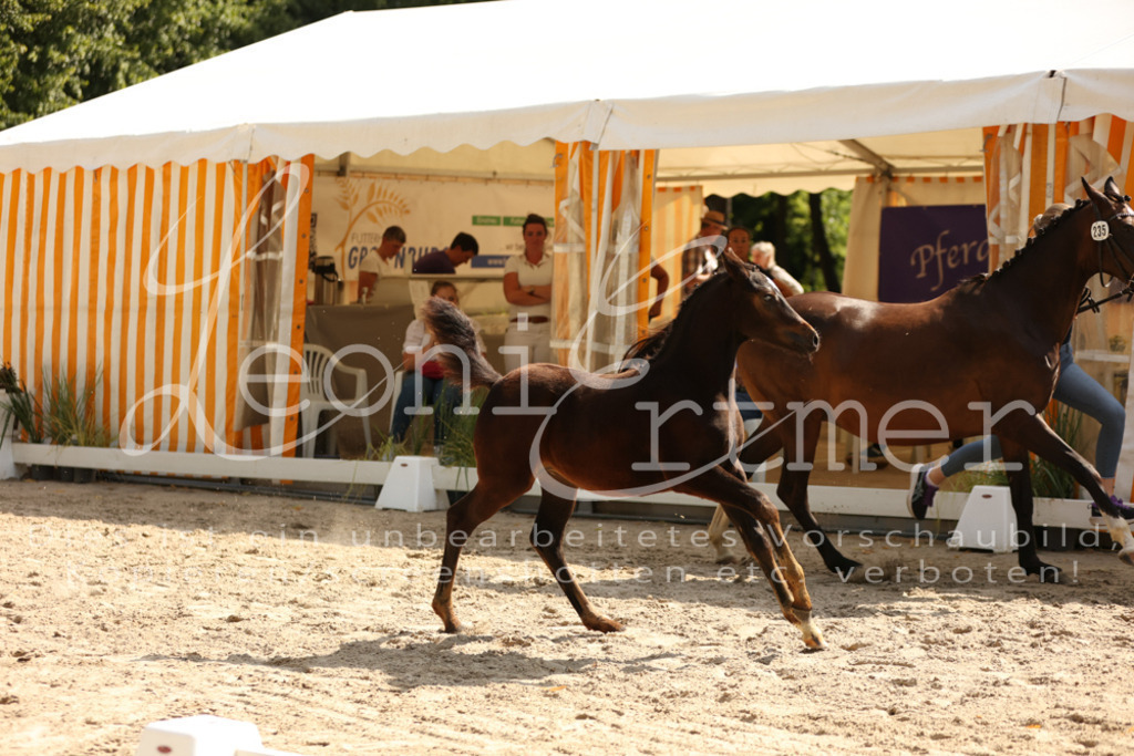 08.DoRPS00034 | Leoni Ertmer Photography - Realisiert mit Pictrs.com