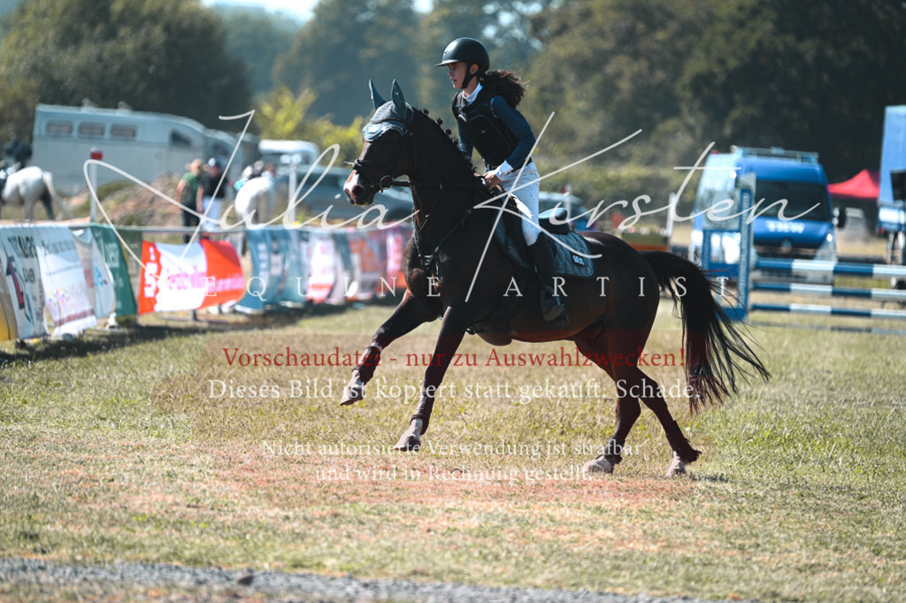 DSC_7936 | Pferde- und Turnierfotografie in Westsachsen. Pferdeportraits, Auftragszeichnungen und intuitive Kunst.