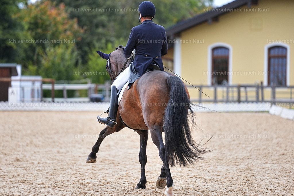 12-226-DRESSUR  S___  -Marixx-5201 | working equitationturnier fotograf videograf stoibphotography marixx film working equitation deutschland reitsport turnierfotografie eventfotografie equestrian events