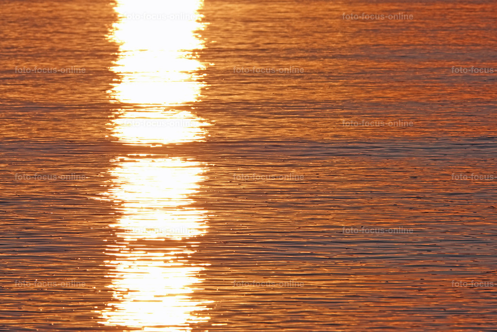 Water reflections | foto-focus-online