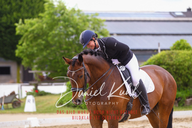 DKP40247 | Turniersportfotografie; Pferdefotografie; Dressurfotografie