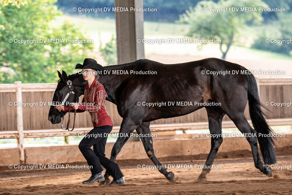 Erbach Tag 3-114 | dv-media-shop - Realisiert mit Pictrs.com