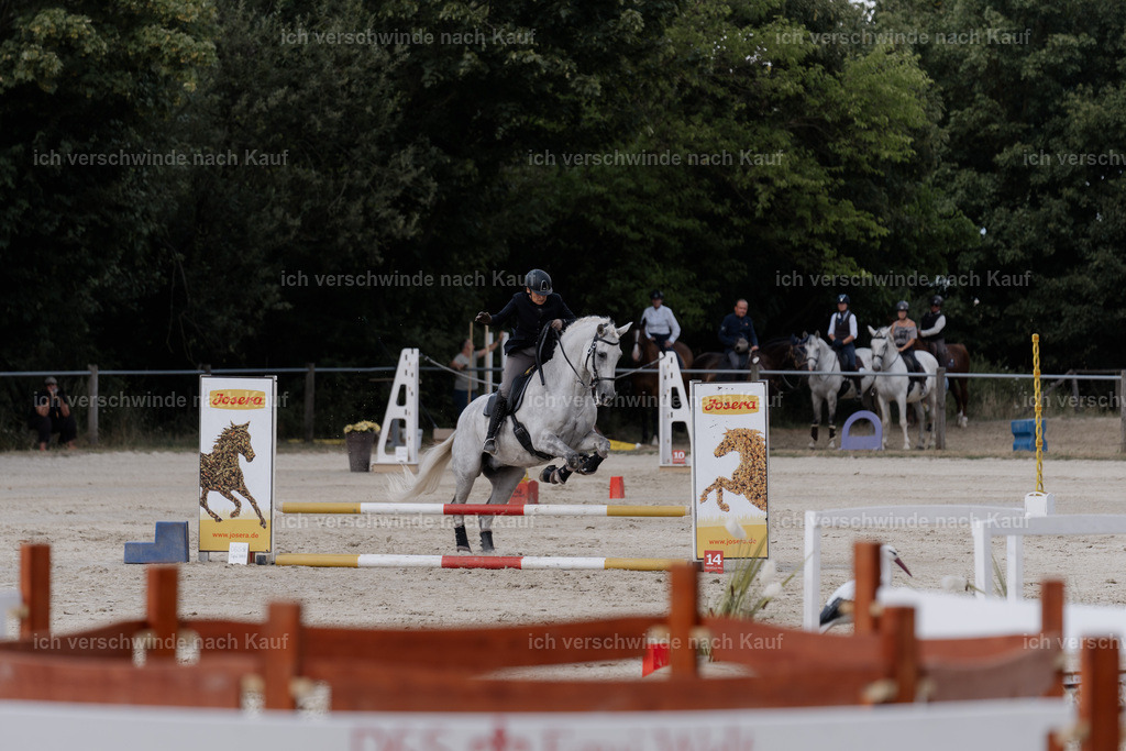 WS_SP_43_SinaFilmArt_IN08355 | working equitationturnier fotograf videograf stoibphotography marixx film working equitation deutschland reitsport turnierfotografie eventfotografie equestrian events