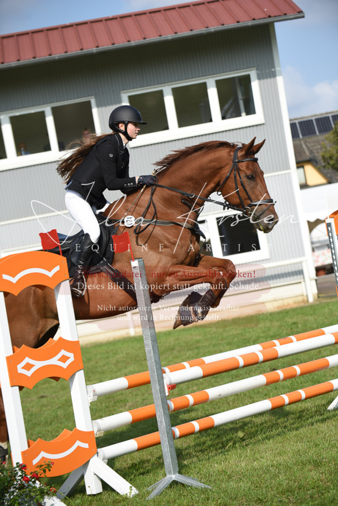 DSC_8773 | Pferde- und Turnierfotografie in Westsachsen. Pferdeportraits, Auftragszeichnungen und intuitive Kunst.
