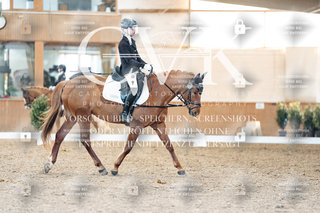 CK907868 | Turnierfotografie Pferdefotografie Trier Rheinland-Pfalz Pferdesport Reitsport Tierfotografie Sportfotografie Pferdevideo Pferdevideografie Equestrianvideography equestrianphotography  - Realisiert mit Pictrs.com