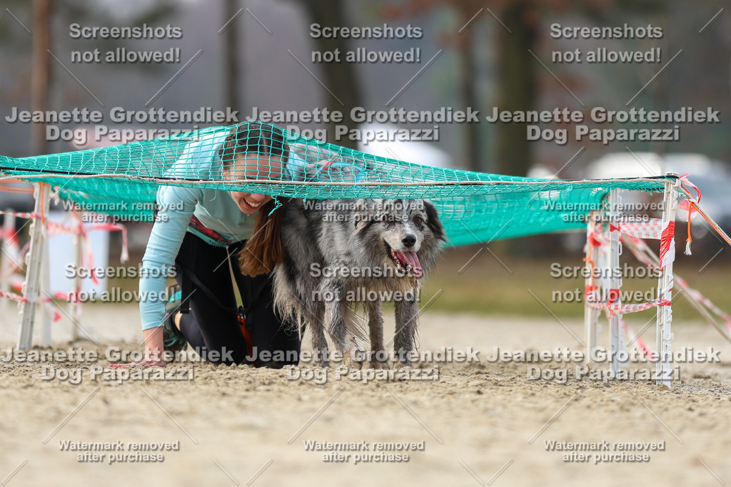 Dog Paparazzi - Strongdog North Mrz26-4771 | Dog Paparazzi Jeanette Grottendiek Fotografie & Videografie - Realisiert mit Pictrs.com