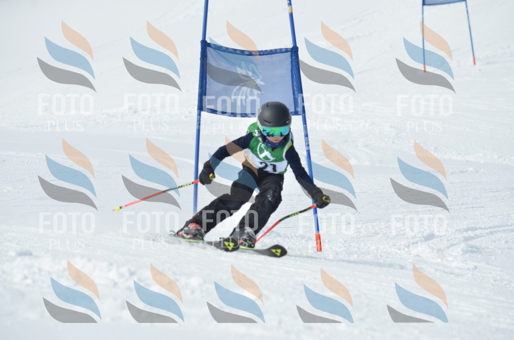 D8583 | holidayphoto