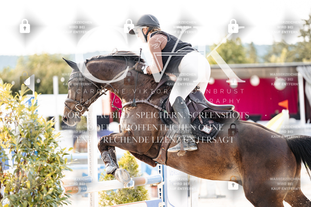 CK906576 | Turnierfotografie Pferdefotografie Trier Rheinland-Pfalz Pferdesport Reitsport Tierfotografie Sportfotografie Pferdevideo Pferdevideografie Equestrianvideography equestrianphotography  - Realisiert mit Pictrs.com