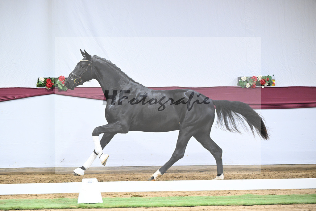 Kat-Nr. 40 Segantini x Fidertanz_Thomas Casper_47251418 | hf-fotografie - Realisiert mit Pictrs.com