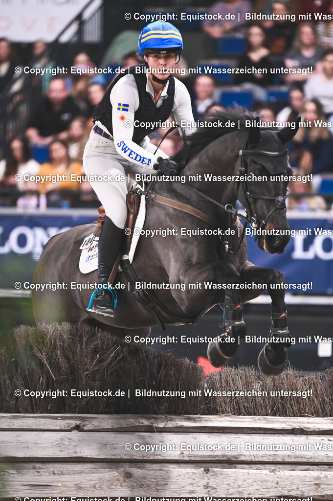 20251112_Indoor-Derby_TOMSPIC_0183 | Foto: Thomas Hartig